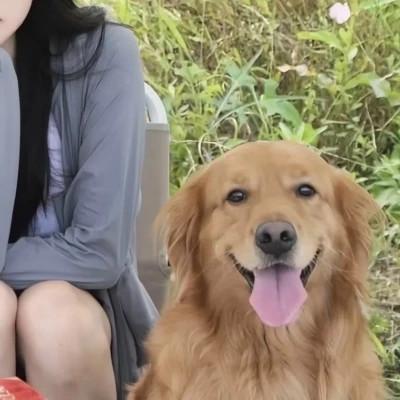 图片微信头像情侣好看68张