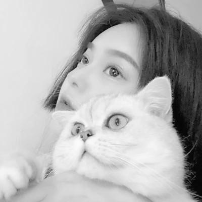 张黑白系女生抱猫头像真人图片大全