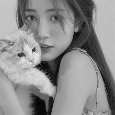 张黑白系女生抱猫头像真人图片大全