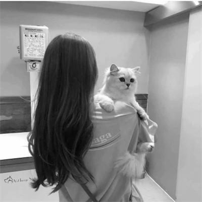 张黑白系女生抱猫头像真人图片大全