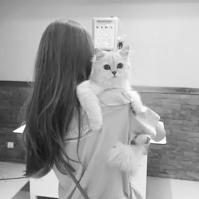 张黑白系女生抱猫头像真人图片大全