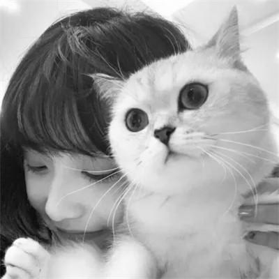 张黑白系女生抱猫头像真人图片大全