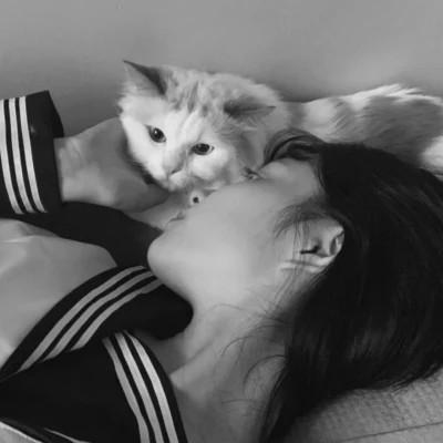 张黑白系女生抱猫头像真人图片大全