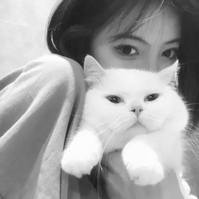 张黑白系女生抱猫头像真人图片大全