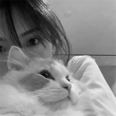 张黑白系女生抱猫头像真人图片大全