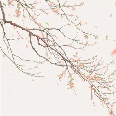 背景图头像女一套30张