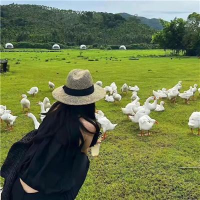 风景头像女生唯美漂亮 高清好看的景色头像女生唯美图片