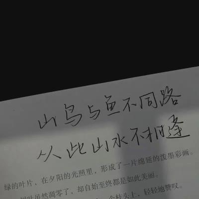 适合做微信头像的文字图片78张