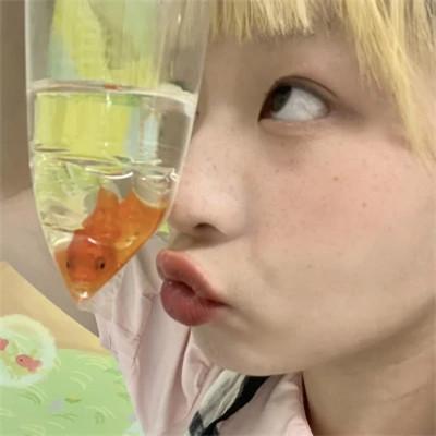 男的喜欢用女头60张