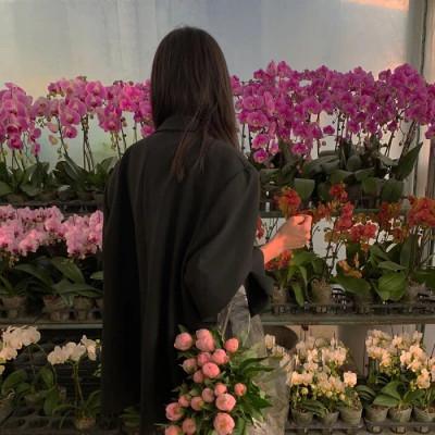 背影头像女生唯美漂亮仙气100张