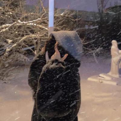 自由而浪漫的氛围感女头图片60张，女神芳华，自在飘逸