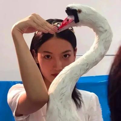 温柔甜系头像 高清漂亮好看温柔的女生头像图片