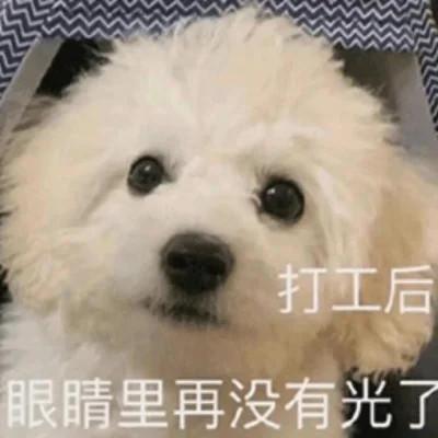 表情包搞笑沙雕头像图片大全