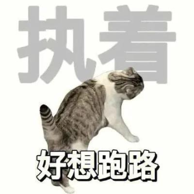 表情包搞笑沙雕头像图片大全