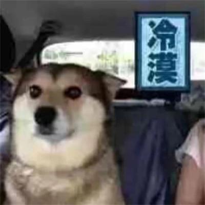 2023年最火表情包
