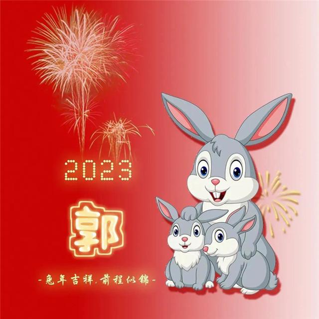 兔年红色好运的2023新款姓氏头像