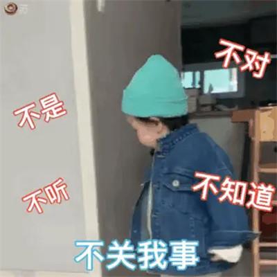 2023年最火表情包