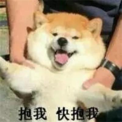 2023年最火表情包