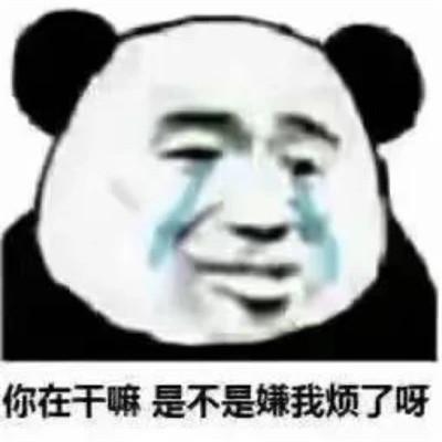 2023年最火表情包