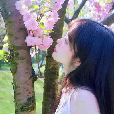 100张清新唯美图片女生头像