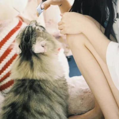 氛围感模糊情侣头像图片36张，甜蜜到模糊的恋爱