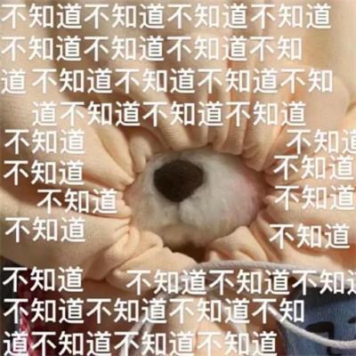 搞笑表情包头像图片精选大全