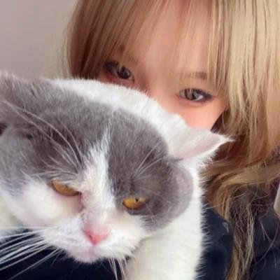 好看高清真人女生头像