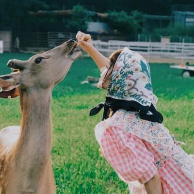 ins清新治愈超纯欲风女生头像
