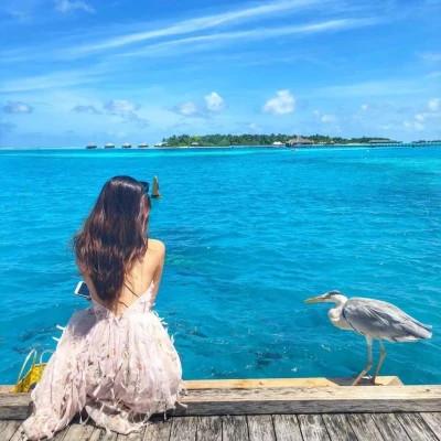 仙气女生头像高级氛围背影