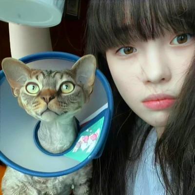 高级氛围感的微信女生头像图片