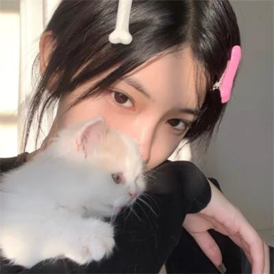 网图女生头像
