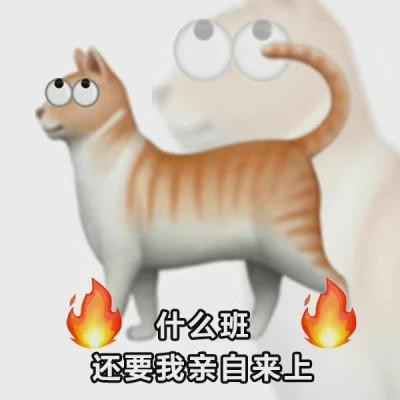 适合当头像的沙雕表情包