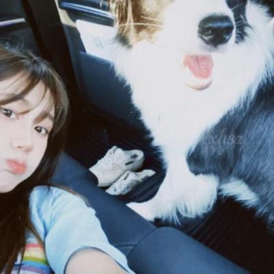 微信女生胶片高级头像图片