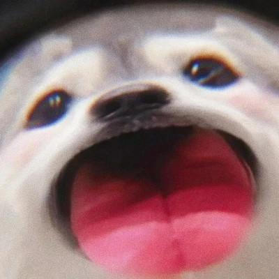 微信头像情侣冷门小众好看图片