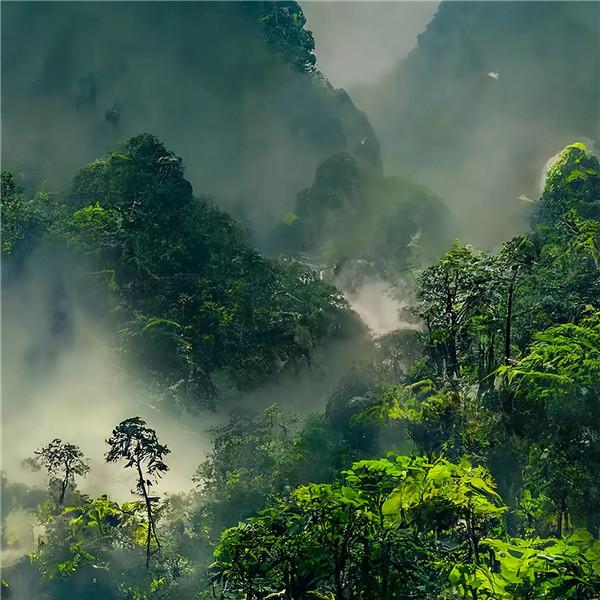 积极向上风景头像 高清好看的励志景色唯美图片头像