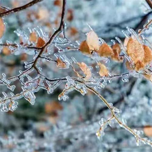 唯美霜雪风景头像图片 太美了