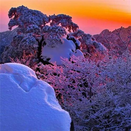 银装素裹黄山雪景风景头像图片 如仙似幻