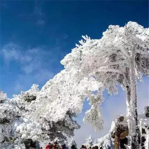 银装素裹黄山雪景风景头像图片 如仙似幻