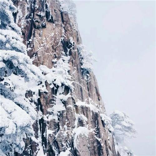 银装素裹黄山雪景风景头像图片 如仙似幻