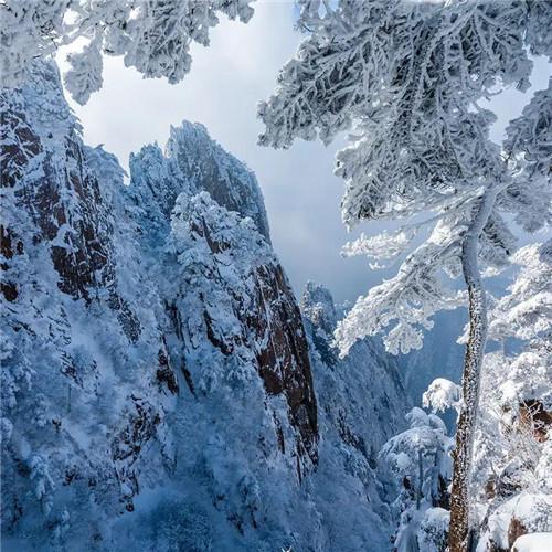 银装素裹黄山雪景风景头像图片 如仙似幻