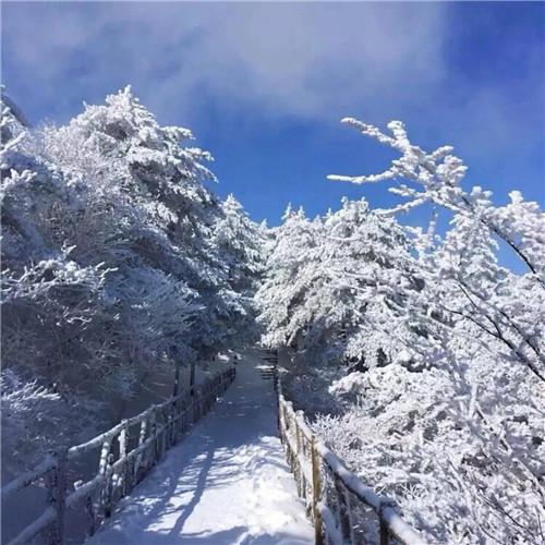 银装素裹黄山雪景风景头像图片 如仙似幻