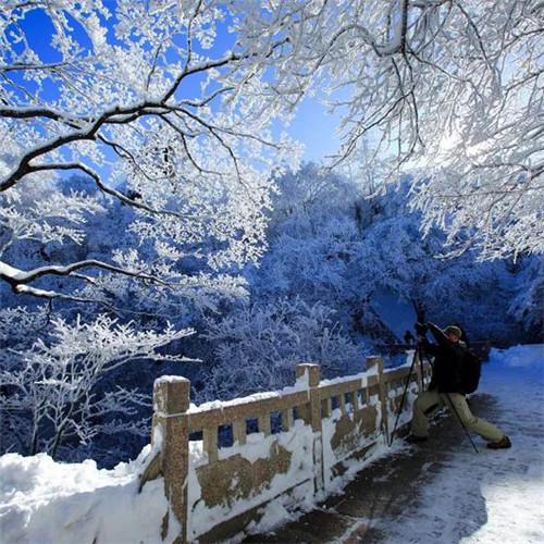 银装素裹黄山雪景风景头像图片 如仙似幻