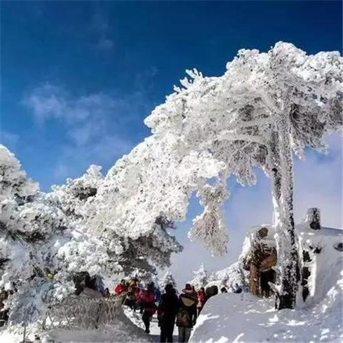 银装素裹黄山雪景风景头像图片 如仙似幻