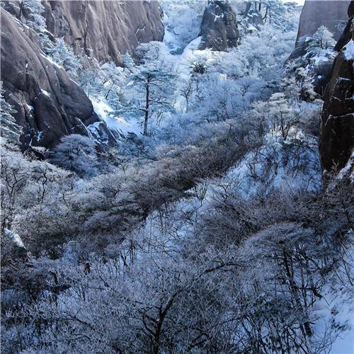 银装素裹黄山雪景风景头像图片 如仙似幻