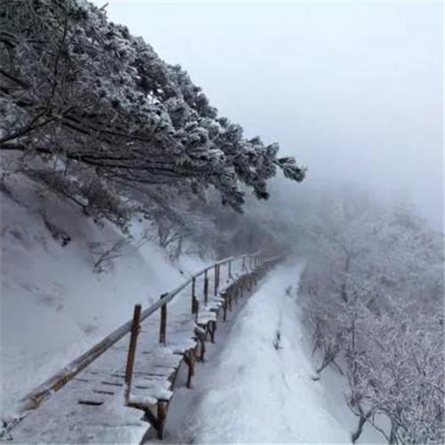 银装素裹黄山雪景风景头像图片 如仙似幻