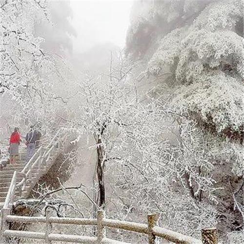 银装素裹黄山雪景风景头像图片 如仙似幻