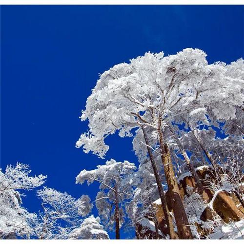 银装素裹黄山雪景风景头像图片 如仙似幻