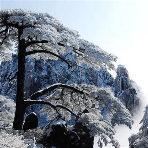 银装素裹黄山雪景风景头像图片 如仙似幻