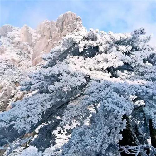 银装素裹黄山雪景风景头像图片 如仙似幻