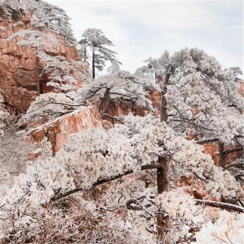 银装素裹黄山雪景风景头像图片 如仙似幻